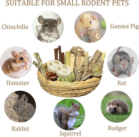 Hamiledyi 40PCS Rabbit Chew Toys Guinea Pig Treats Chews for Teeth Natural Bunny Enrichment Toys Cage Accessories for Hamster Chinchilla Squirrel Gerbils Rabbit Guinea Pig Cavy in Kuwait