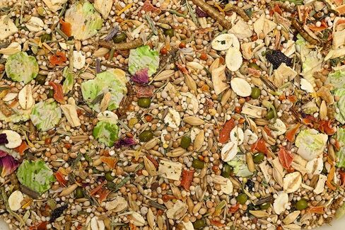 Bunny Nature DwarfHamsterDream Expert - طعام كامل، نظام غذائي طبيعي مع الدخن، VitalPlus Granivore والبذور الأساسية - بدون كريات، تغذية متوازنة مع عدم وجود قيود على الكمية - 1.1 رطل in Kuwait