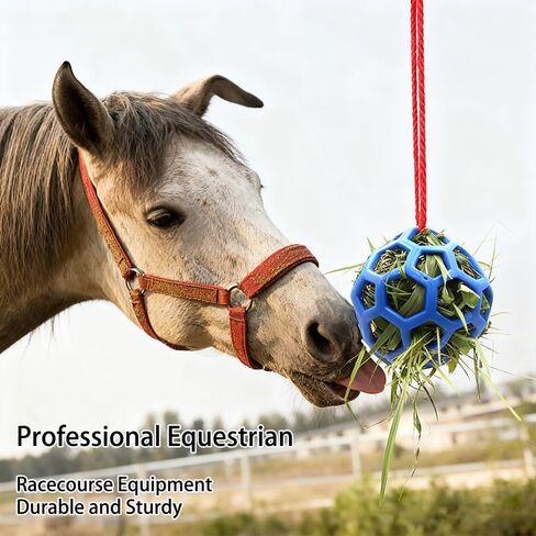 يقوم الإسطبل بتعليق مغذيات القش وكرات الألعاب لإطعام كرات الحصان in Kuwait