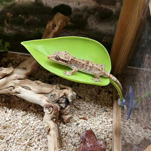 Reptile Basking Platform 3PCS Turtle Platform Gecko Tank Accessories for Tree Frog African Dwarf Frog Fish Gecko in Kuwait