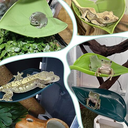 Reptile Basking Platform 3PCS Turtle Platform Gecko Tank Accessories for Tree Frog African Dwarf Frog Fish Gecko in Kuwait