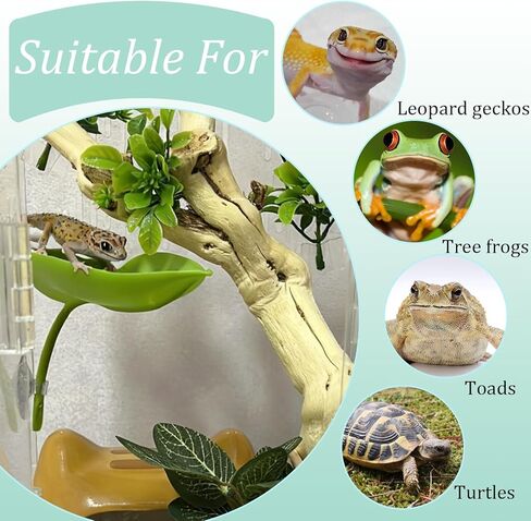 Reptile Basking Platform 3PCS Turtle Platform Gecko Tank Accessories for Tree Frog African Dwarf Frog Fish Gecko in Kuwait