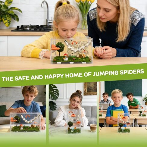 Jumping Spider Enclosure Accessory Set 5 Pcs— Magnetic Mushroom Platforms with Hand-Woven Rope and Jumping Spider Climbing Mesh for Climbing, Resting, and Decorating in Kuwait