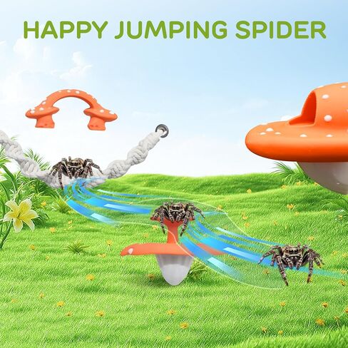 Jumping Spider Enclosure Accessory Set 5 Pcs— Magnetic Mushroom Platforms with Hand-Woven Rope and Jumping Spider Climbing Mesh for Climbing, Resting, and Decorating in Kuwait