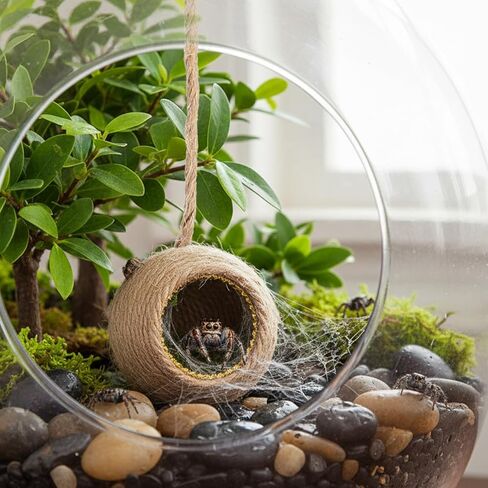 Pet Spiders Hideout Nest, Jumping-Spider Hide Enclosure Habitat with Decoration Antler, Jumping Spider Enclosure Accessories, Jumping Spider Hide in Kuwait