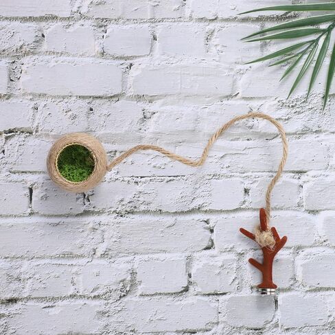 Pet Spiders Hideout Nest, Jumping-Spider Hide Enclosure Habitat with Decoration Antler, Jumping Spider Enclosure Accessories, Jumping Spider Hide in Kuwait
