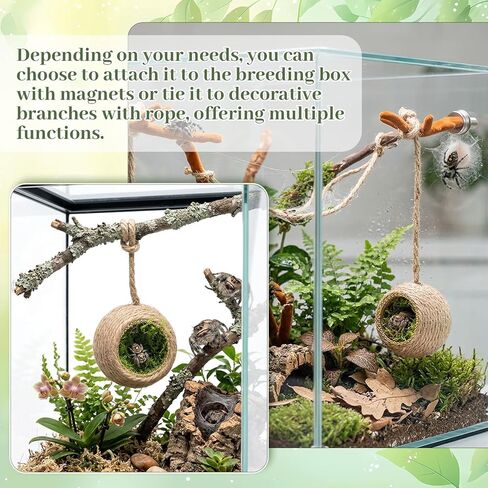 Pet Spiders Hideout Nest, Jumping-Spider Hide Enclosure Habitat with Decoration Antler, Jumping Spider Enclosure Accessories, Jumping Spider Hide in Kuwait