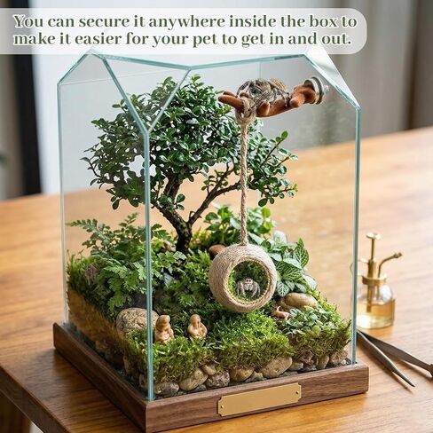 Pet Spiders Hideout Nest, Jumping-Spider Hide Enclosure Habitat with Decoration Antler, Jumping Spider Enclosure Accessories, Jumping Spider Hide in Kuwait