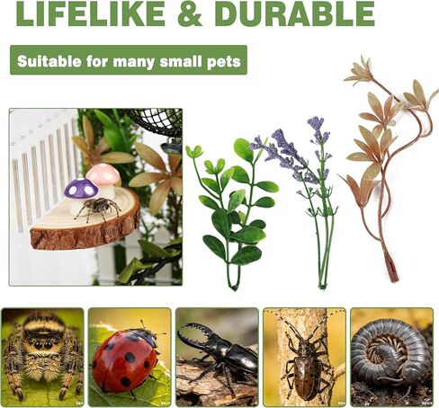 Jumping Spider Enclosure Accessories Kit, 14Pcs Spider Tank Decor Set with Hide, Plants, Moss, Ledge & Tools for Tarantula Habitat Decor（The Product Does not Include a breeding Box.） in Kuwait