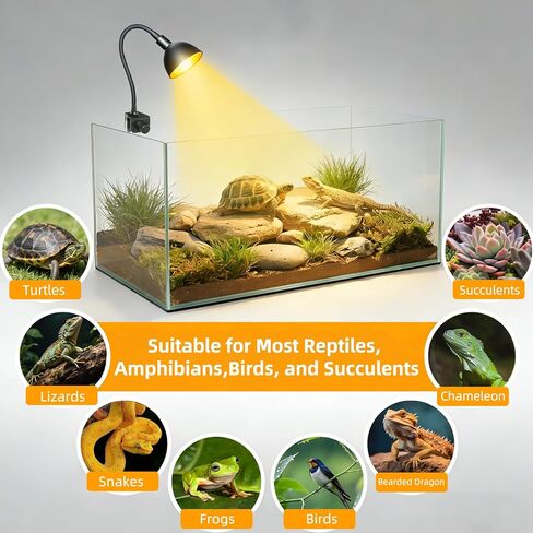 COOSPIDER 50W مصباح حراري للزواحف مع مشبك ومؤقت، تركيبات إضاءة سلحفاة صغيرة تنعم بخرطوم قابل للدوران 360 درجة مع 2 لمبات قاعدة G9 احتياطية للنباتات والزواحف الصغيرة وثعبان التنين الملتحي in Kuwait