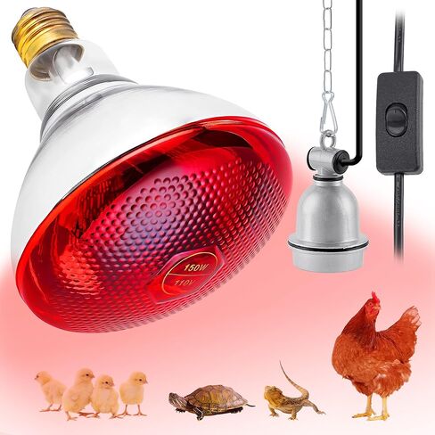 Heat Lamp Bulb for Chickens, Red Heat Lamp Infrared Light Bulb with Power Cord Hanging Chain for Chicks in Kuwait