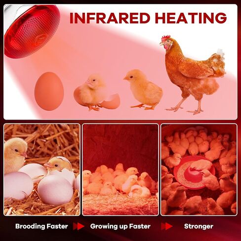 Heat Lamp Bulb for Chickens, Red Heat Lamp Infrared Light Bulb with Power Cord Hanging Chain for Chicks in Kuwait