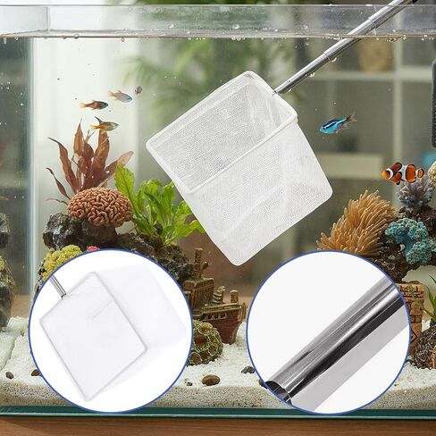 Aquarium Fish Net 3 Inch with Extendable Stainless Steel Handle Square Soft Fine Mesh Shrimp Net for Fish Tank, Stream, Pond in Kuwait