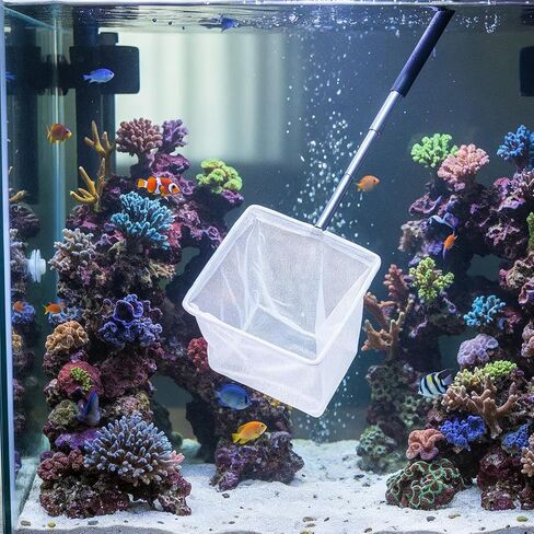 Aquarium Fish Net 3 Inch with Extendable Stainless Steel Handle Square Soft Fine Mesh Shrimp Net for Fish Tank, Stream, Pond in Kuwait