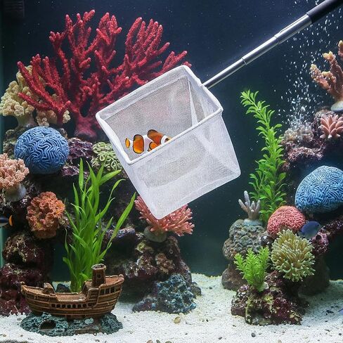Aquarium Fish Net 3 Inch with Extendable Stainless Steel Handle Square Soft Fine Mesh Shrimp Net for Fish Tank, Stream, Pond in Kuwait