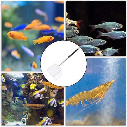 Aquarium Fish Net 3 Inch with Extendable Stainless Steel Handle Square Soft Fine Mesh Shrimp Net for Fish Tank, Stream, Pond in Kuwait