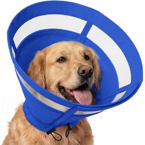 ASENKU Dog Cone Collar, Protective Recovery Dog Collar After Surgery, Comfy Adjustable Cone for Dogs to Stop Licking, Pet E-Collar for Small, Medium & Large Dogs(Orange, M) in Saudi Arabia