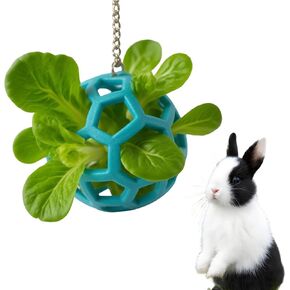Rabbit Treat Ball, Bunny Enrichment Toy with Stainless Steel Hanger Set, Veggie Feeding Rabbit Ball Toy to Slow Feeder for Bunny, Guinea Pig, Hedgehog, Squirrel, Tortoise in Saudi Arabia