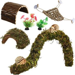 PETKNOWS Hermit Crab Accessories, 6 Pieces Hermit Crab Climbing Toys Coconut Shell Hut with Moss Ladder and Natural Reptile Climbing Toys for Reptile Tank Decor in Kuwait