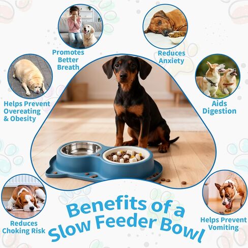 Slow Feeder Dog Food Bowls:Non-Spill/Skid/Ant Prevention Stainless Steel Food & Water Dish Set for S/M/L Size Dogs, Cats, Puppy Pets to Slow Down Feeding (Blue) in Kuwait