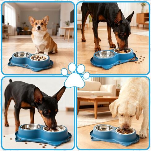 Slow Feeder Dog Food Bowls:Non-Spill/Skid/Ant Prevention Stainless Steel Food & Water Dish Set for S/M/L Size Dogs, Cats, Puppy Pets to Slow Down Feeding (Blue) in Kuwait