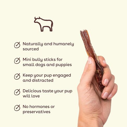 Pupford Mini Bully Sticks for Dogs & Puppies, Smoked for Improved Smell, Natural, Long-Lasting, Single Ingredient Chews for Small Breeds (8 oz) in Kuwait