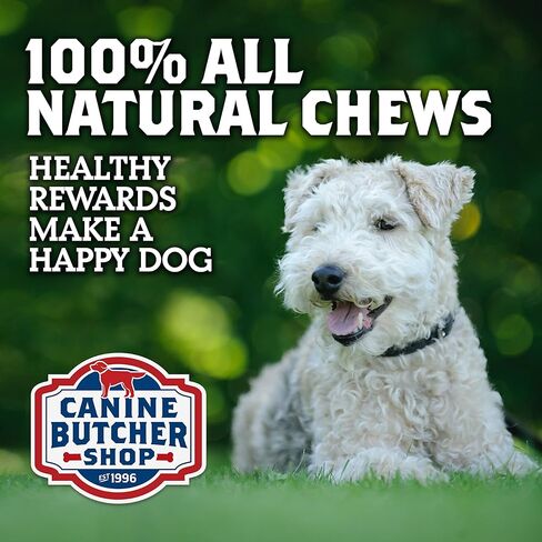 Bully Sticks مرفوعة ومصنوعة في الولايات المتحدة الأمريكية، 10 بوصات (عبوة من 6 قطع)، خالية من الرائحة، مضغ طبيعي بالكامل للكلاب، مكافآت in Kuwait