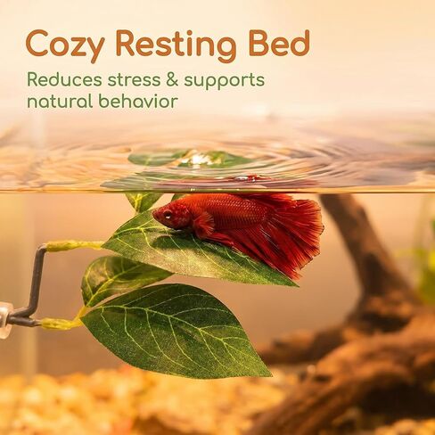 6 PCS Betta Leaf Hammocks & Feeding Ring, Betta Feeding Ring with Suction Cups, Aquarium Leaf Hammock Resting Bed for Fish Spawning, Breeding & Tank Decor & Fish Tank Accessories in Kuwait