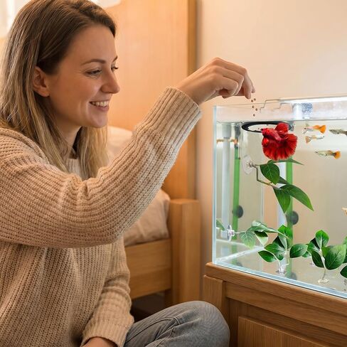 6 PCS Betta Leaf Hammocks & Feeding Ring, Betta Feeding Ring with Suction Cups, Aquarium Leaf Hammock Resting Bed for Fish Spawning, Breeding & Tank Decor & Fish Tank Accessories in Kuwait