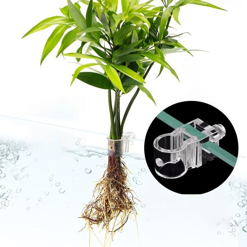 6 PCS Clear Aquarium Plant Holder, Reusable Top Hanging Fish Tank Planter, Small Transparent Plant Clips for Fish Tank Aquarium Landscaping and Decoration in Kuwait