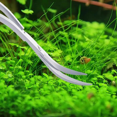 Extra Long Curved Aquarium Scissors, Stainless Steel Tools for Trimming Aquatic Plants, Professional Wave Scissors for Fish Tank, Aquarium & Terrarium, Ambidextrous Design in Kuwait