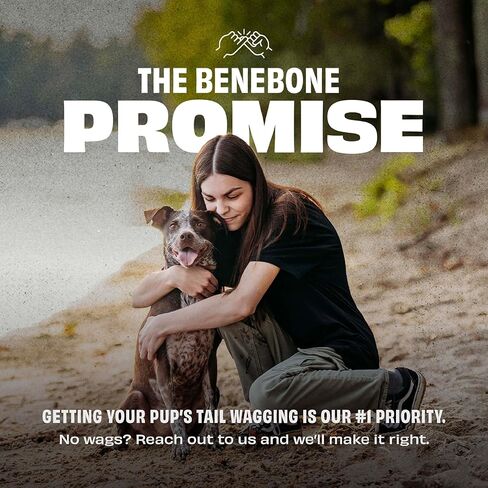 Benebone Durable Rubber Dog Toy Ball, Limited Edition America 250, One Size in Kuwait