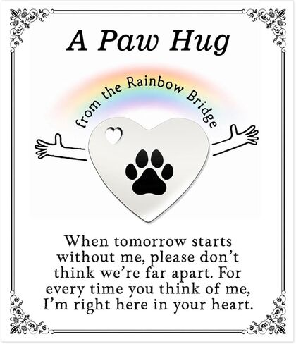 Pet Loss Gift for Dog Mom Dog Dad, Rainbow Bridge Paw Hug Memorial Keepsake, Sympathy Gift for Loss of Dog Cat, Remembrance Comfort Gift for Pet Lovers, Meaningful Pet Memorial Gift (Silver) in Kuwait