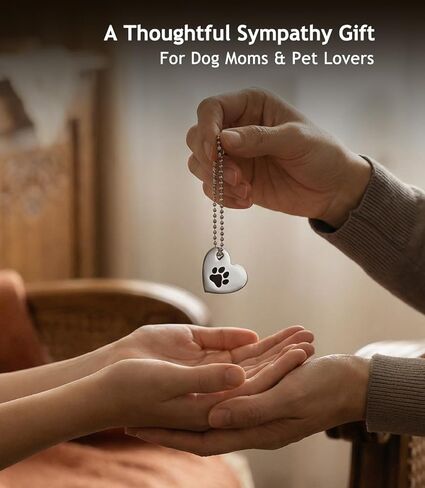 Pet Loss Gift for Dog Mom Dog Dad, Rainbow Bridge Paw Hug Memorial Keepsake, Sympathy Gift for Loss of Dog Cat, Remembrance Comfort Gift for Pet Lovers, Meaningful Pet Memorial Gift (Silver) in Kuwait