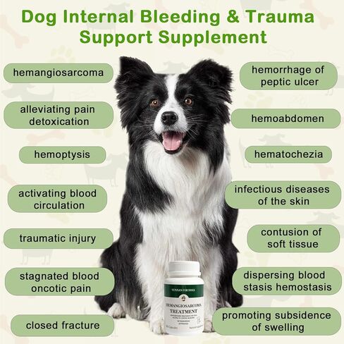 Yunnan Sanqi Capsules for Dogs, Herbal Quick Stop Bleeding, Blood Support for Hemangiosarcoma, Hemoabdomen, Cancer Bleeding, Pericardial Effusion, Ulcer-Related Bleeding, Bloody Stools - 90 Capsules in Kuwait