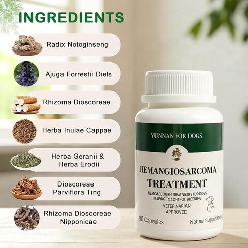 Yunnan Sanqi Capsules for Dogs, Herbal Quick Stop Bleeding, Blood Support for Hemangiosarcoma, Hemoabdomen, Cancer Bleeding, Pericardial Effusion, Ulcer-Related Bleeding, Bloody Stools - 90 Capsules in Kuwait