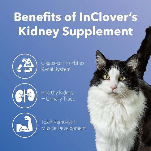 InClover Kidney – Bladder and Urinary Health Supplement for Dogs & Cats - with Resveratrol (Found in Cranberries), L-Carnitine & D-Mannose – Supports a Healthy Urinary Tract and Optimal Renal Function in Saudi Arabia
