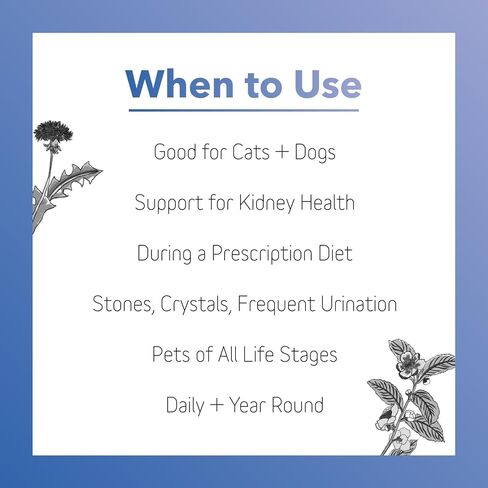 InClover Kidney – Bladder and Urinary Health Supplement for Dogs & Cats - with Resveratrol (Found in Cranberries), L-Carnitine & D-Mannose – Supports a Healthy Urinary Tract and Optimal Renal Function in Saudi Arabia