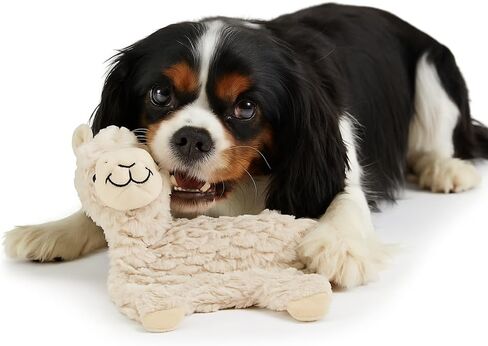 NANDOG The Signature Collection My BFF Alpaca Dog Toy in Beige - Soft Plush & Crinkle Fabric - Interactive & Cuddly Companion - Modern Design, Lightweight & Durable - Perfect for Small/Medium Dogs in Kuwait