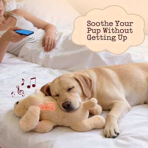لعبة Fuzzwoof للكلاب التي يتم التحكم فيها عن بعد لنبضات القلب، 8 أصوات ومحاكاة نبضات القلب لمساعدة الجراء على النوم وتخفيف القلق، وتدريب القفص، ورفيق مهدئ قابل لإعادة الشحن in Kuwait