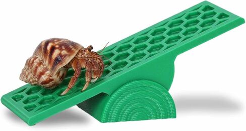 Hermit Crab Seesaw Climbing Toy, Hermit Crab Tank Decoration Ornament in Kuwait
