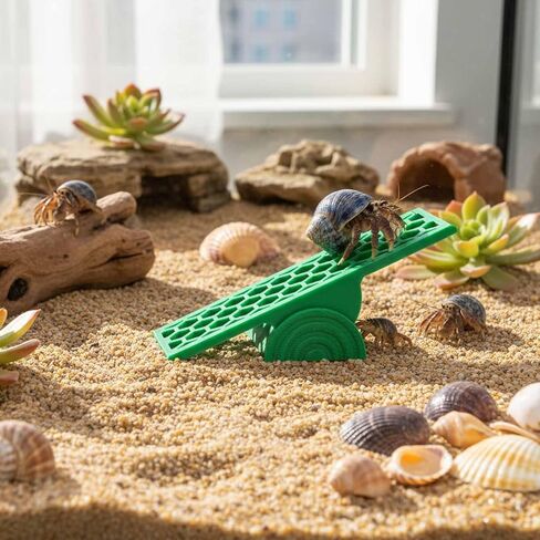 Hermit Crab Seesaw Climbing Toy, Hermit Crab Tank Decoration Ornament in Kuwait
