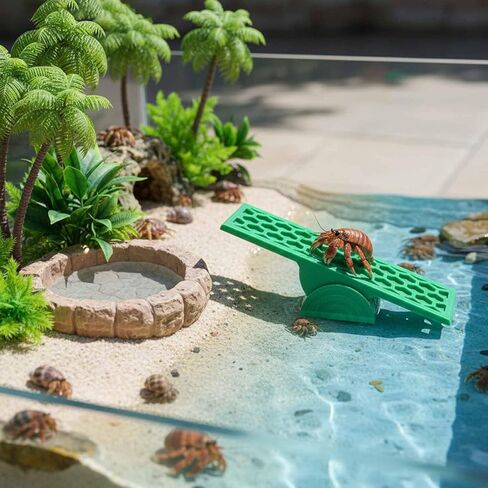 Hermit Crab Seesaw Climbing Toy, Hermit Crab Tank Decoration Ornament in Kuwait