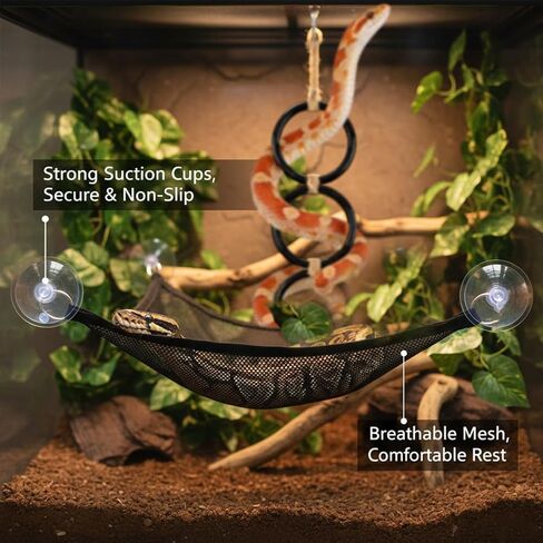 Snake Climbing Rings with 2 Hammock for Ball Python & Corn Snake, Reptile Enrichment Toys for Snake, Ball Python Tank Decor Reptiles Climbing Toy Hammocks (Black) in Kuwait