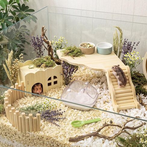 5 Pcs Hamster Platform Wooden Fence Bridge Ladder Climbing Toy Hidden House Exploring Toy with Hamster Bath Container Decor Cage Accessories for Small Animals Dwarf Syrian Gerbils Squirrel(Classic) in Kuwait