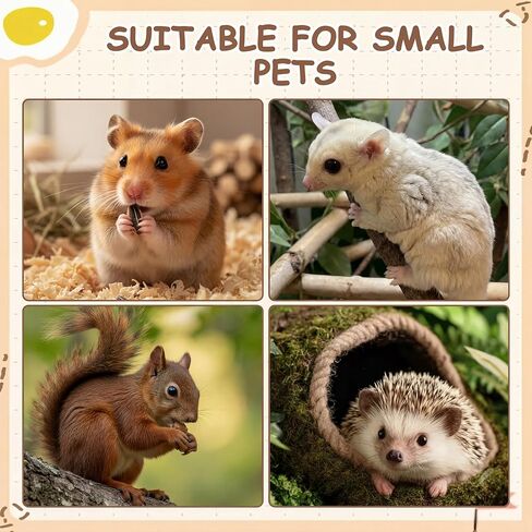 5 Pcs Hamster Platform Wooden Fence Bridge Ladder Climbing Toy Hidden House Exploring Toy with Hamster Bath Container Decor Cage Accessories for Small Animals Dwarf Syrian Gerbils Squirrel(Classic) in Kuwait