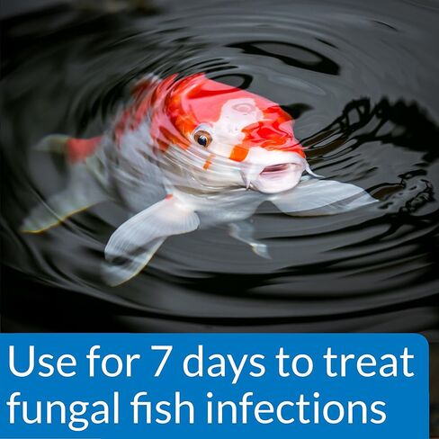 PondCare® PimaFix Antifungal Remedy for Koi & Goldfish (16 oz.) in Kuwait