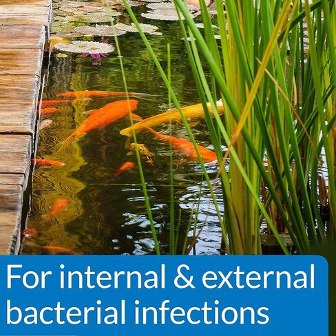 PondCare® PimaFix Antifungal Remedy for Koi & Goldfish (16 oz.) in Kuwait