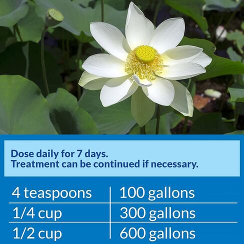 PondCare® PimaFix Antifungal Remedy for Koi & Goldfish (16 oz.) in Kuwait
