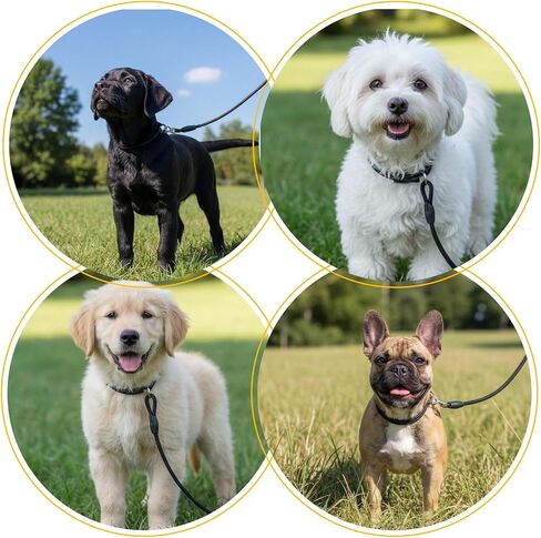 Black Heavy Duty Slip Leads for Dogs, Comfortable Slip Lead Dog Leash No Pull Dog Training Leash Adjustable Rope Dogs Leashs Slips Lead Control Leashs for Training Walking Small to Medium in Kuwait